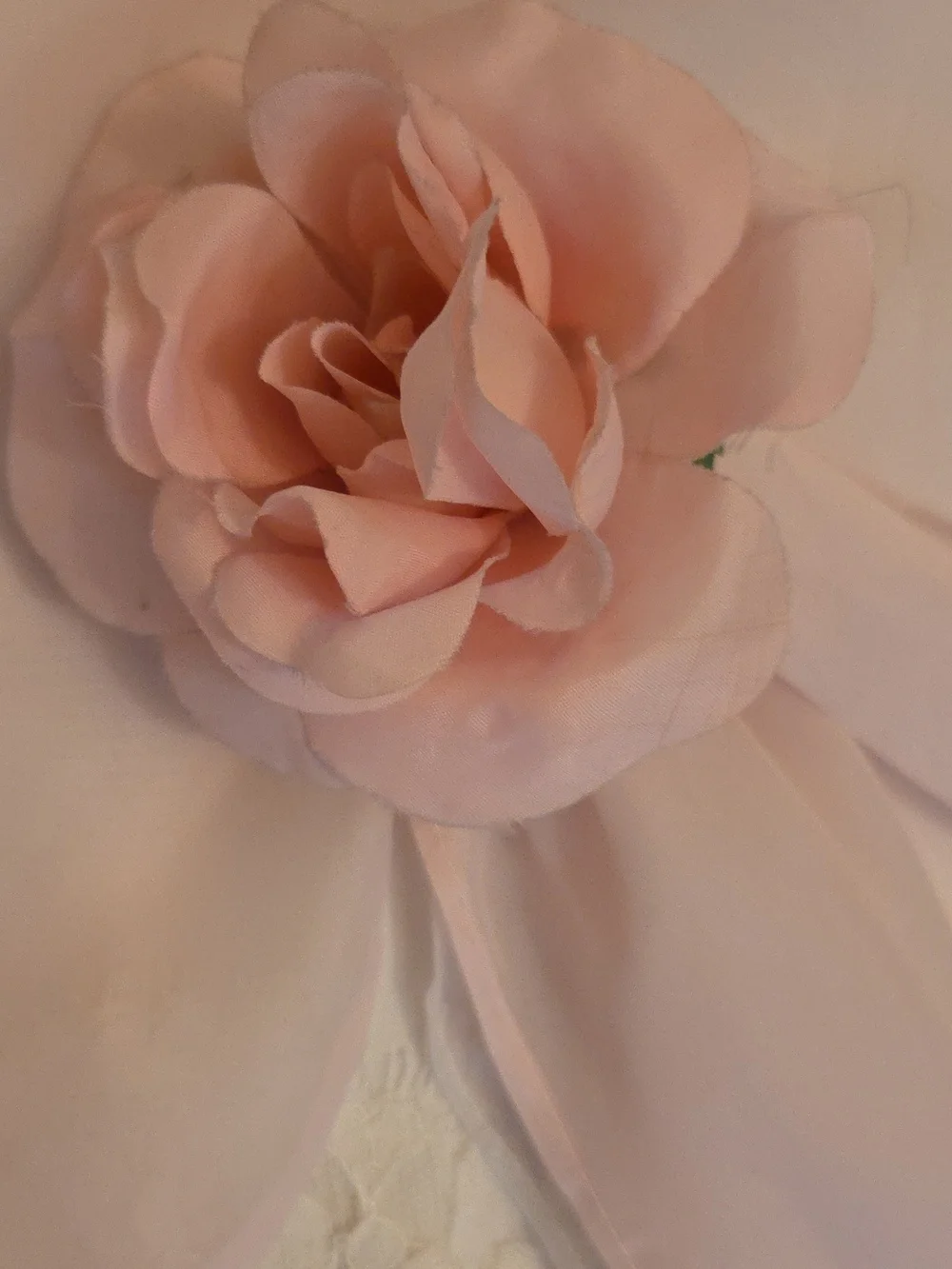 Light Pink Formal Dress - Picture 12 of 12